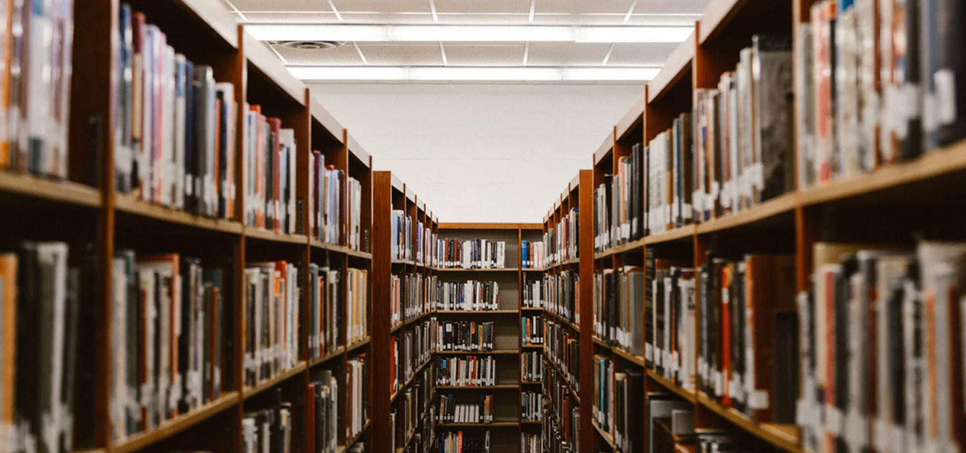 Photo of library shelves